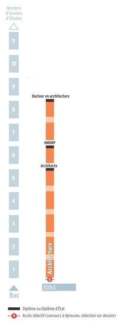 Schéma des études d'architecte en France