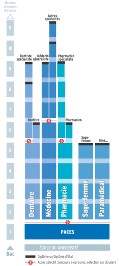 Schéma des études de médecine en France