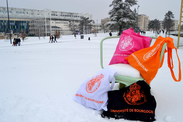 Université de Bourgogne